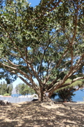 Etiopia.